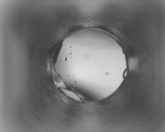 X0000062171444200512301633