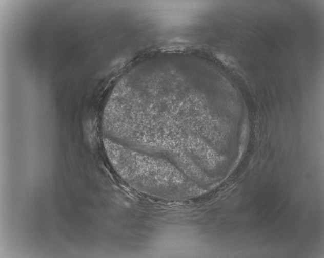 X0000062171445200512301633