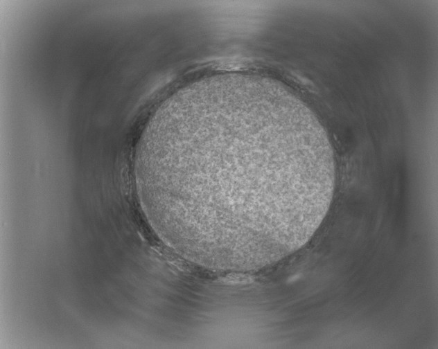 X0000062171446200512301633