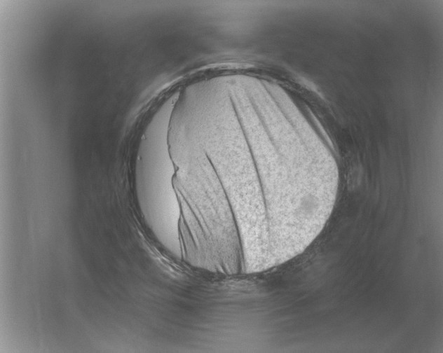 X0000062171448200512301633