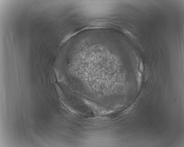 X0000062171449200512301633