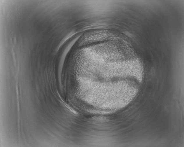 X0000062171450200512301633