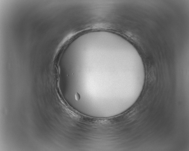 X0000062171454200512301633