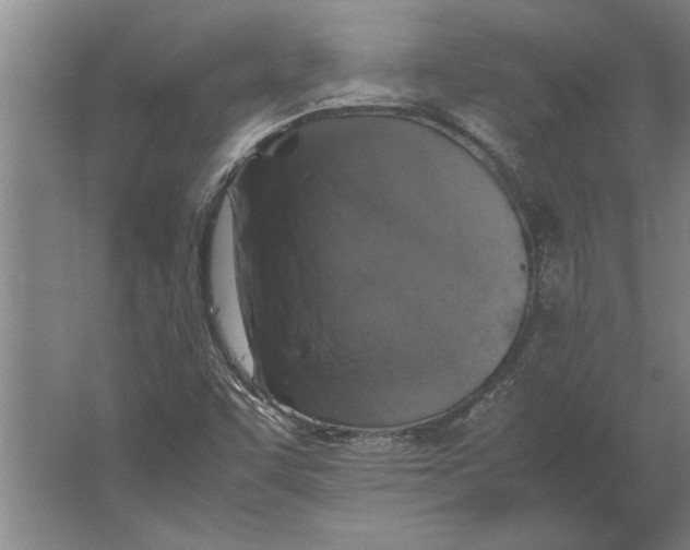 X0000062171455200512301633