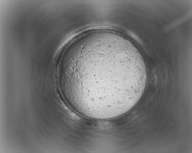 X0000062171456200512301633