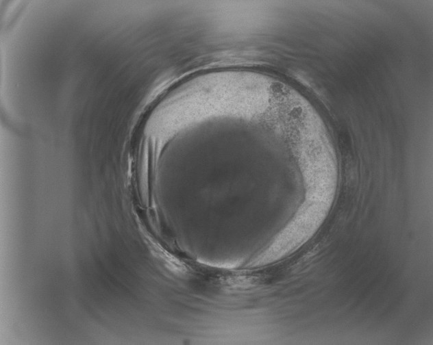 X0000062171459200512301633