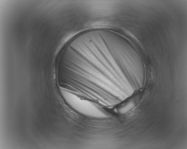 X0000062171461200512301633