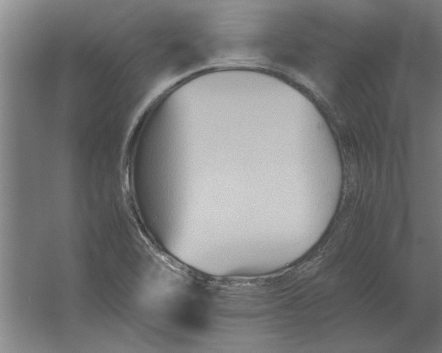 X0000062171462200512301633