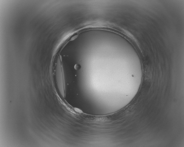 X0000062171464200512301632