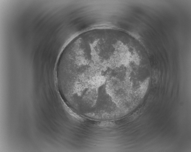 X0000062171466200512301632