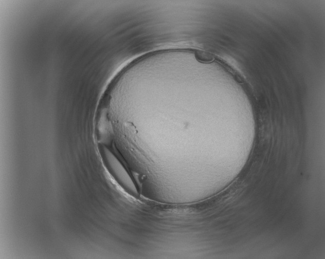 X0000062171468200512301632