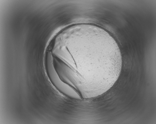 X0000062171472200512301632