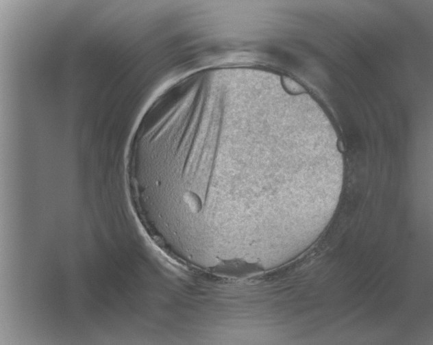 X0000062171475200512301632