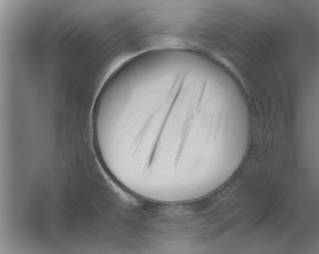 X0000062171479200512301632