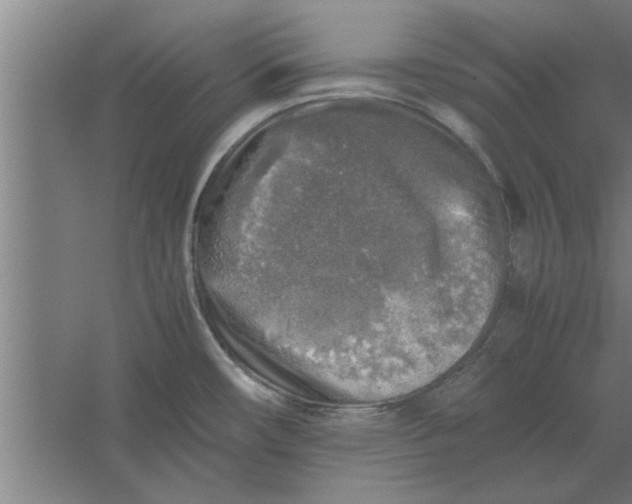 X0000062171482200512301632