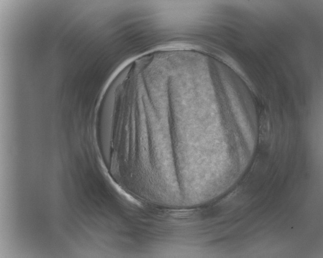 X0000062171484200512301632