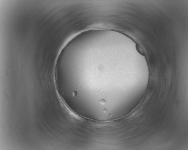 X0000062171486200512301632