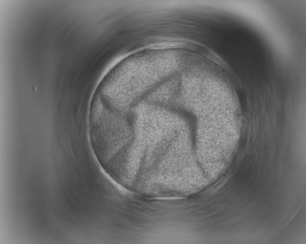 X0000062171487200512301632