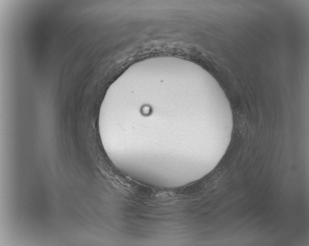 X0000062171489200512301631