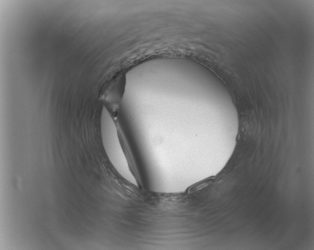 X0000062171490200512301631