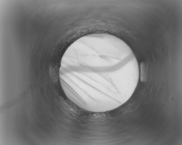 X0000062171491200512301631