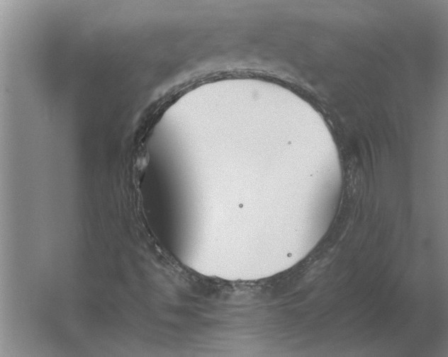 X0000062171494200512301631