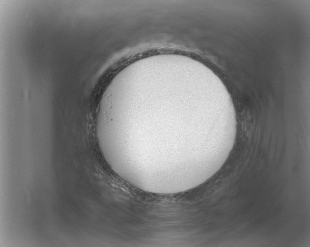 X0000062171495200512301631