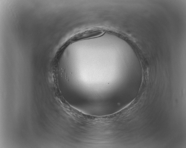 X0000062171496200512301631