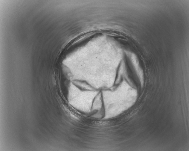 X0000062171497200512301631