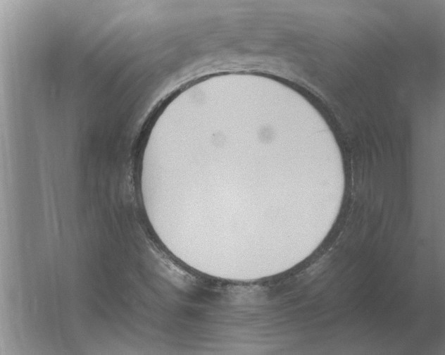 X0000062171498200512301631