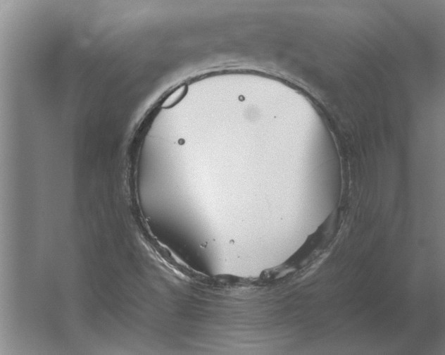 X0000062171502200512301632