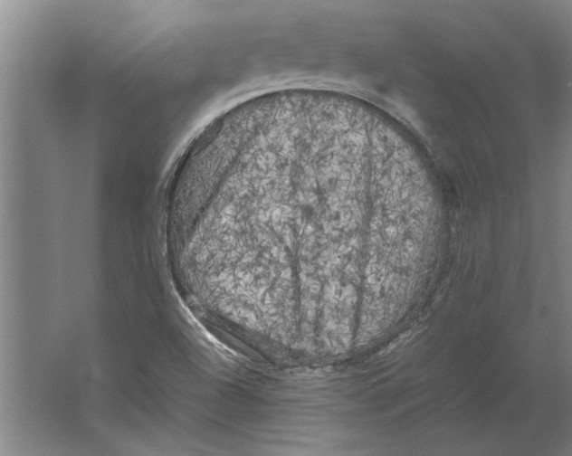 X0000062171504200512301632