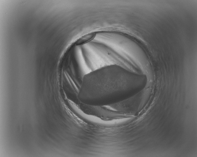 X0000062171506200512301632