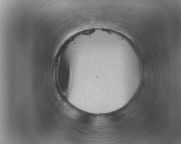 X0000062171507200512301632