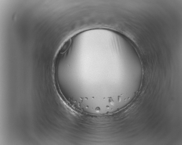 X0000062171508200512301632