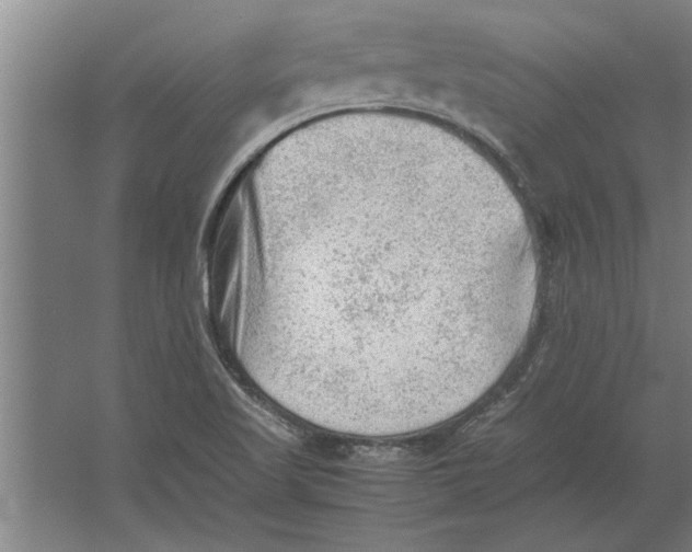 X0000062171509200512301632