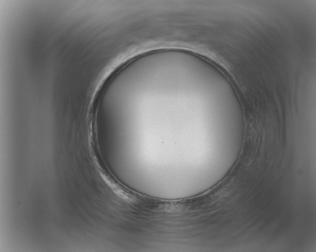 X0000062171511200512301632