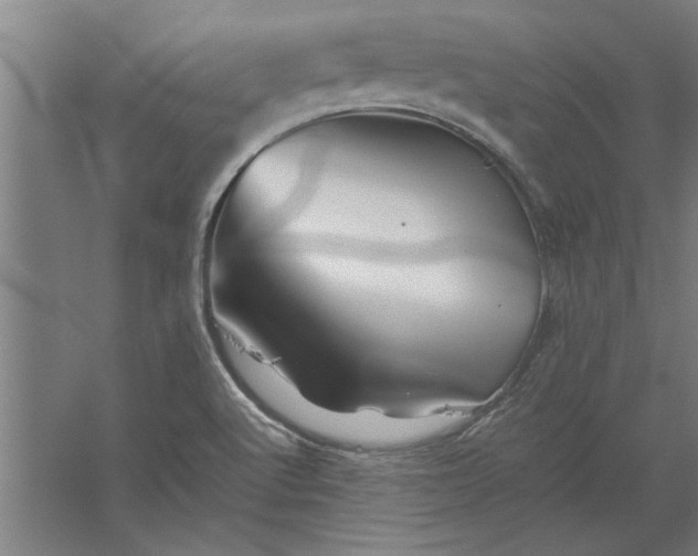 X0000062171512200512301632