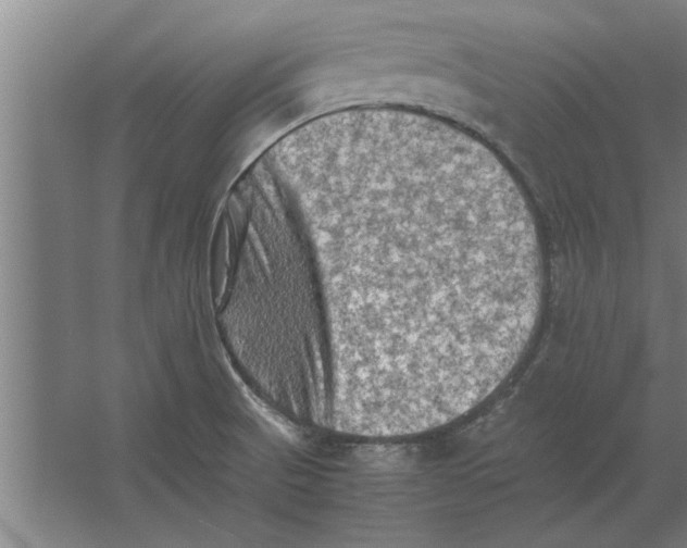 X0000062171521200512301632