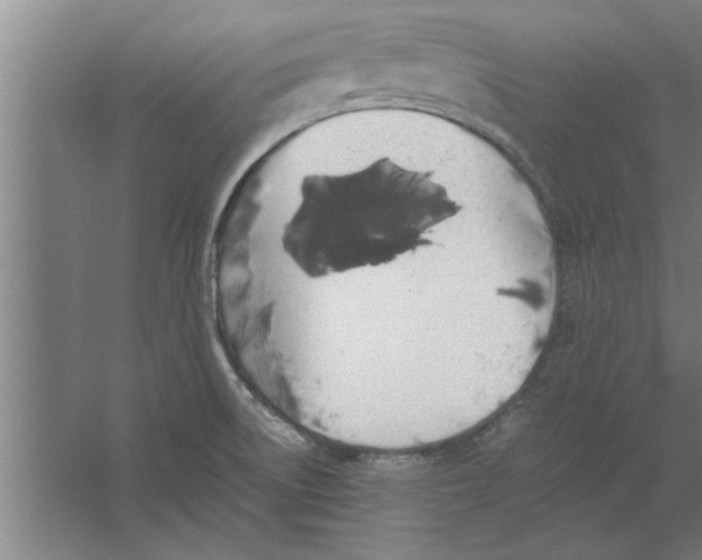 X0000062171522200512301632