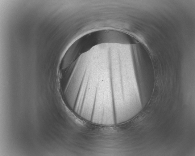 X0000062171524200512301632