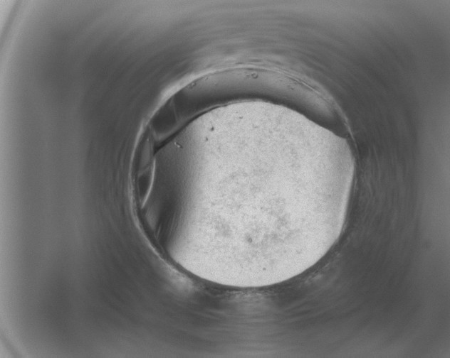 X0000062171525200512301632