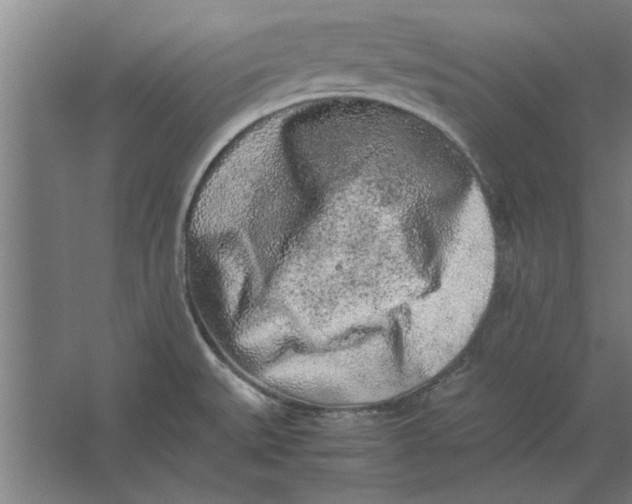 X0000062171527200512301632