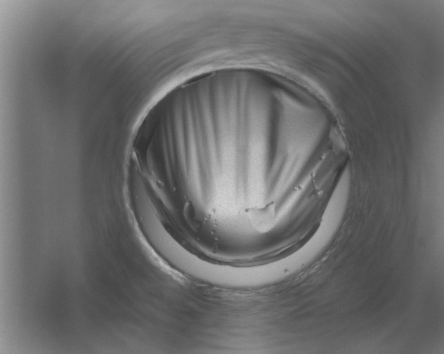 X0000062171528200512301632