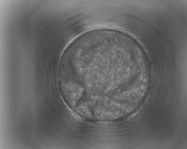 X0000062171529200512301632