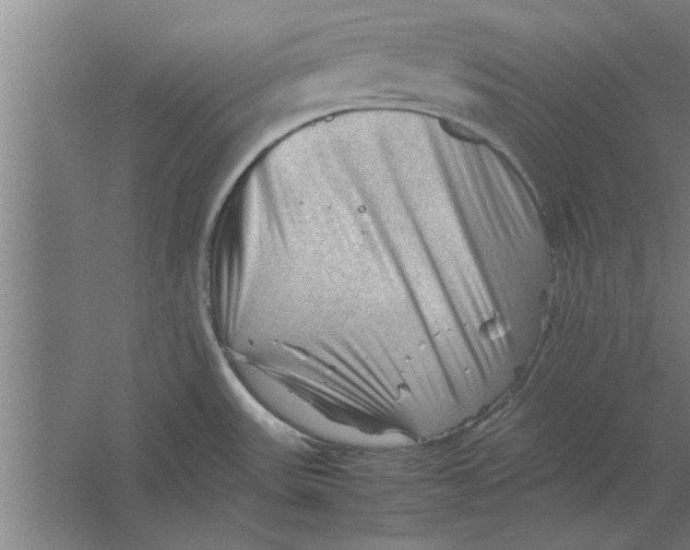 X0000062171531200512301632