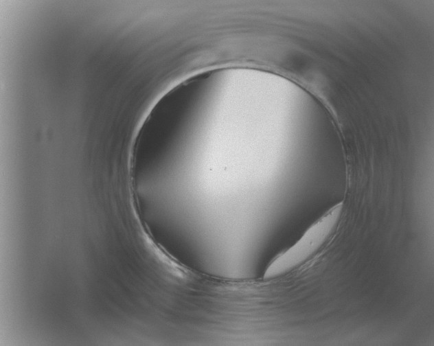 X0000062171532200512301632