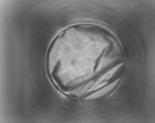 X0000062171533200512301632