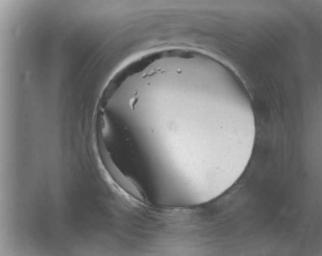 X0000062171534200512301632