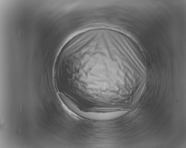 X0000062171535200512301632